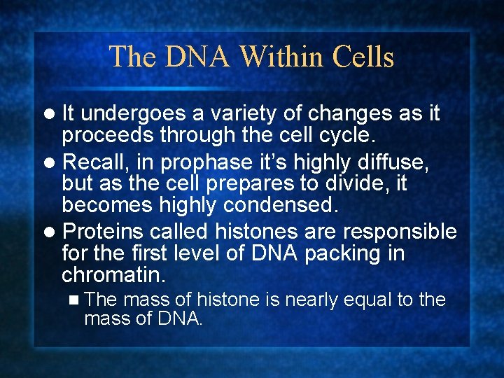 The DNA Within Cells l It undergoes a variety of changes as it proceeds
