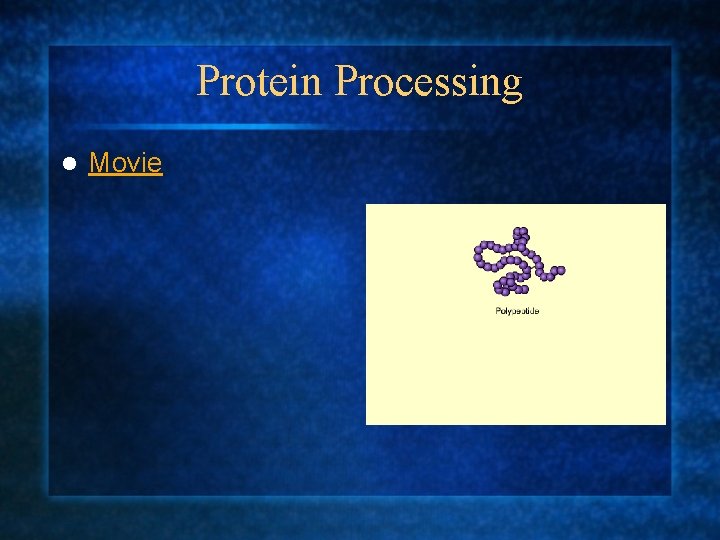 Protein Processing l Movie 