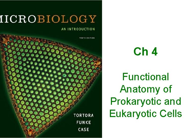 Ch 4 Functional Anatomy of Prokaryotic and Eukaryotic Cells 