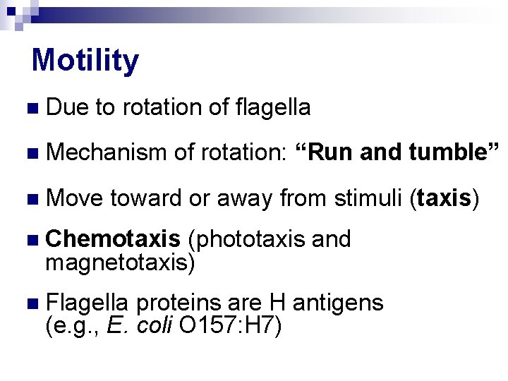 Motility n Due to rotation of flagella n Mechanism n Move of rotation: “Run