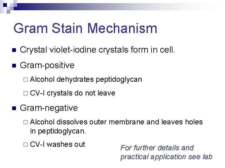 Gram Stain Mechanism n Crystal violet-iodine crystals form in cell. n Gram-positive ¨ Alcohol