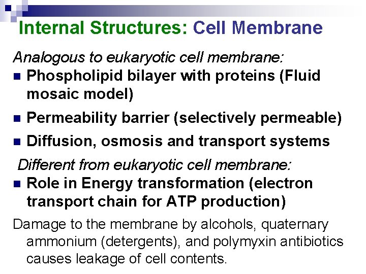 Internal Structures: Cell Membrane Analogous to eukaryotic cell membrane: n Phospholipid bilayer with proteins