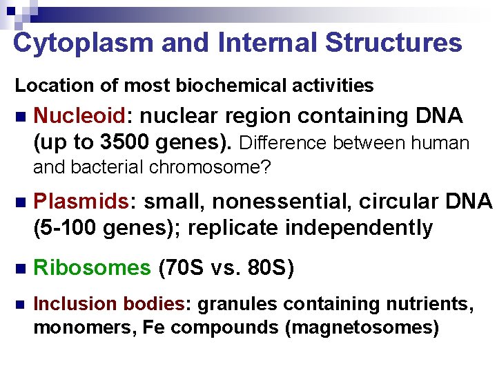 Cytoplasm and Internal Structures Location of most biochemical activities n Nucleoid: nuclear region containing