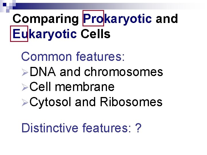 Comparing Prokaryotic and Eukaryotic Cells Common features: ØDNA and chromosomes ØCell membrane ØCytosol and