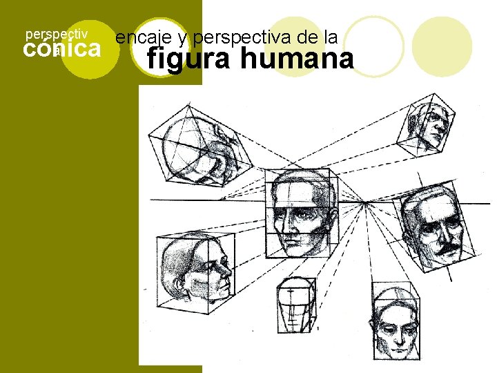 perspectiv a cónica encaje y perspectiva de la figura humana 