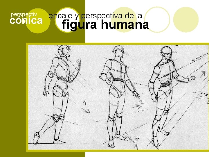 perspectiv a cónica encaje y perspectiva de la figura humana 