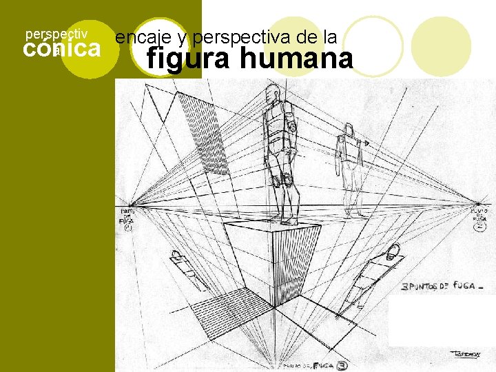 perspectiv a cónica encaje y perspectiva de la figura humana DALÍ 