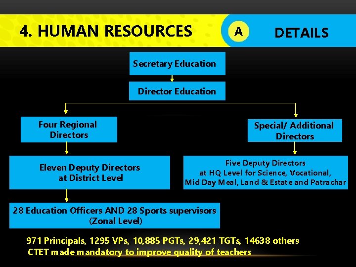 4. HUMAN RESOURCES A DETAILS Secretary Education Director Education Four Regional Directors Eleven Deputy