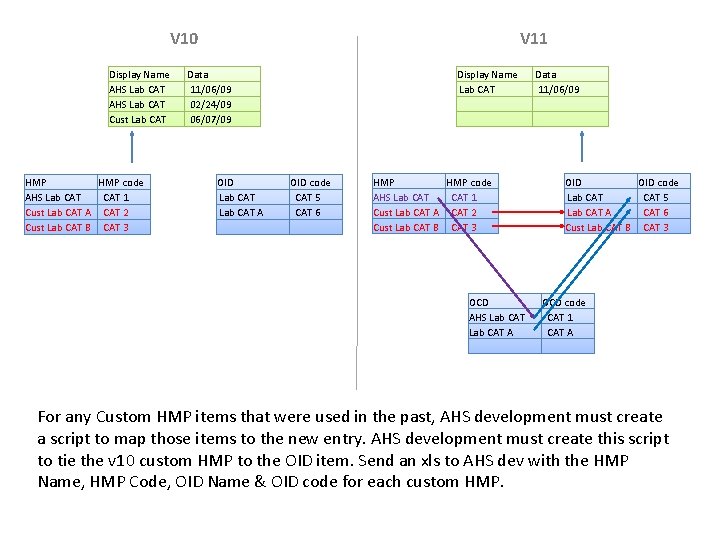 V 10 Display Name AHS Lab CAT Cust Lab CAT HMP code AHS Lab