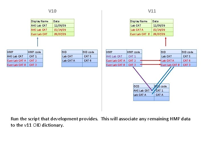 V 10 Display Name AHS Lab CAT Cust Lab CAT HMP code AHS Lab