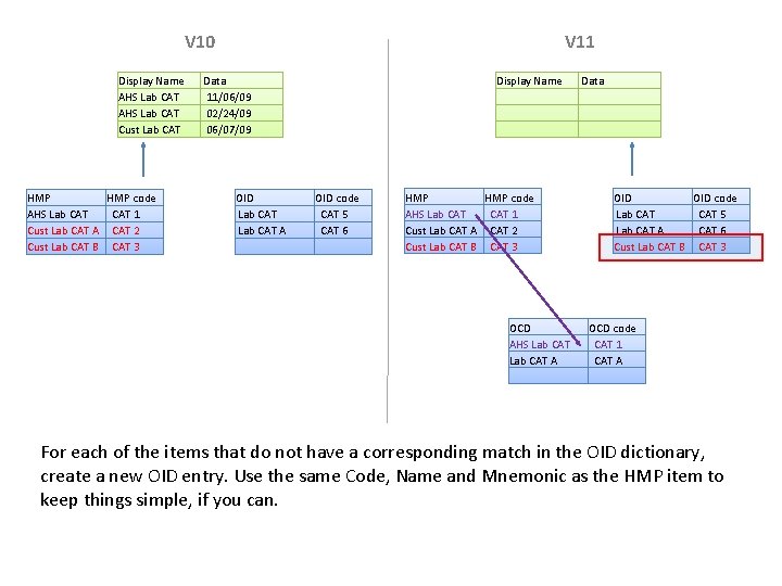 V 10 Display Name AHS Lab CAT Cust Lab CAT HMP code AHS Lab