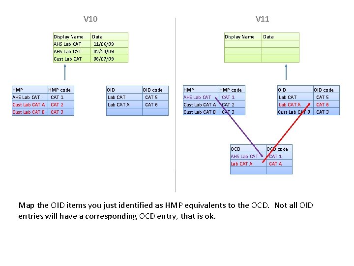 V 10 Display Name AHS Lab CAT Cust Lab CAT HMP code AHS Lab