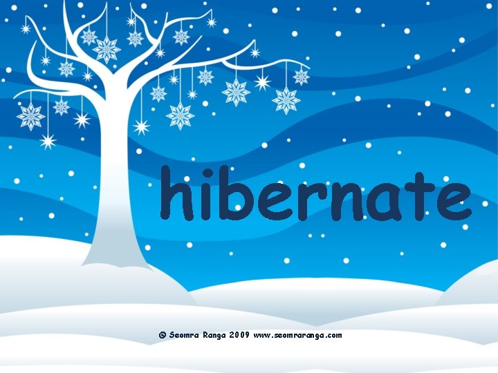 hibernate © Seomra Ranga 2009 www. seomraranga. com 