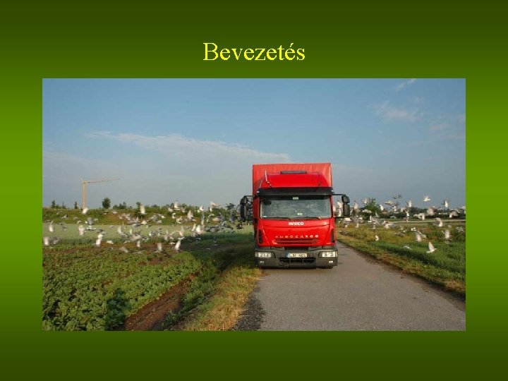 Bevezetés • feleresztésről kép • egy dúcról 