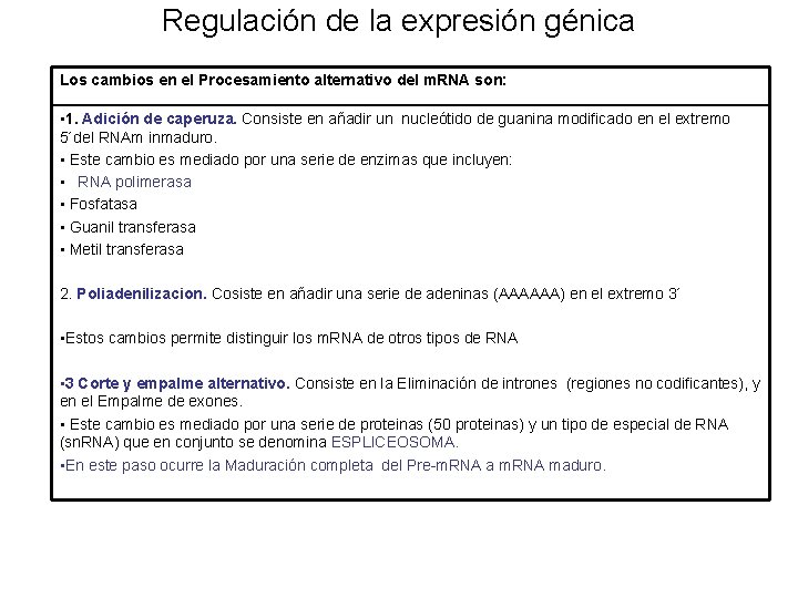 Regulación de la expresión génica Los cambios en el Procesamiento alternativo del m. RNA