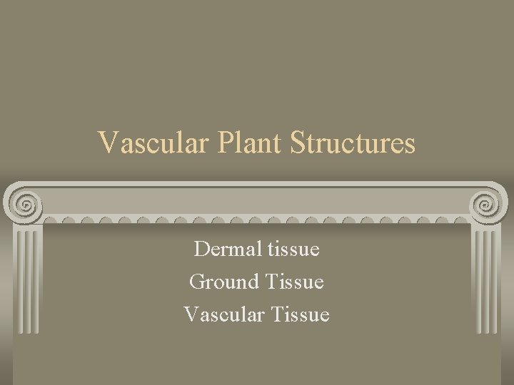 Vascular Plant Structures Dermal tissue Ground Tissue Vascular Tissue 