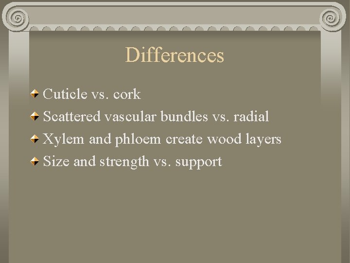 Differences Cuticle vs. cork Scattered vascular bundles vs. radial Xylem and phloem create wood