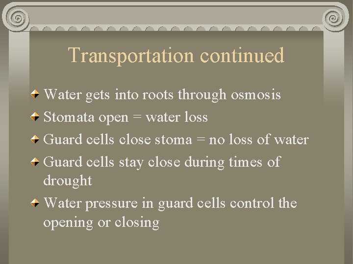 Transportation continued Water gets into roots through osmosis Stomata open = water loss Guard