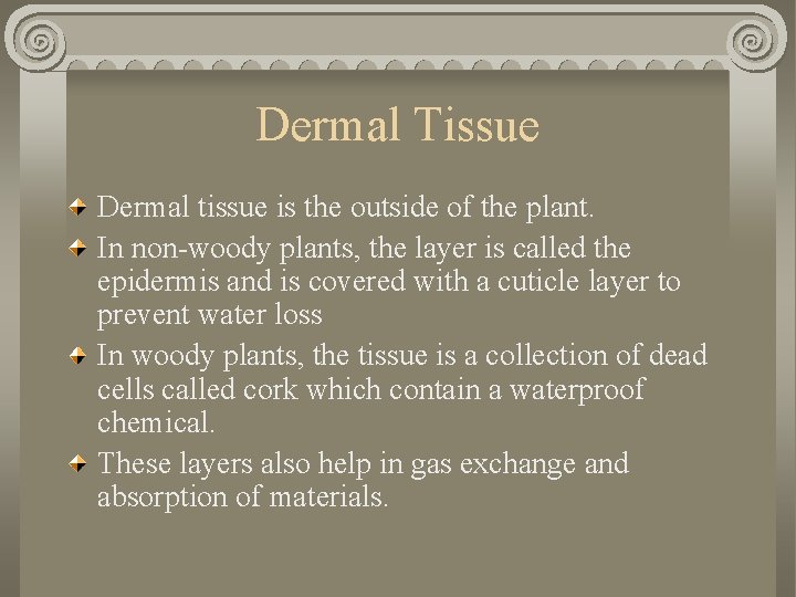 Dermal Tissue Dermal tissue is the outside of the plant. In non-woody plants, the