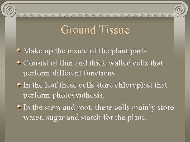 Ground Tissue Make up the inside of the plant parts. Consist of thin and