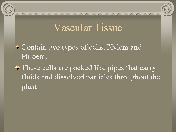 Vascular Tissue Contain two types of cells; Xylem and Phloem. These cells are packed