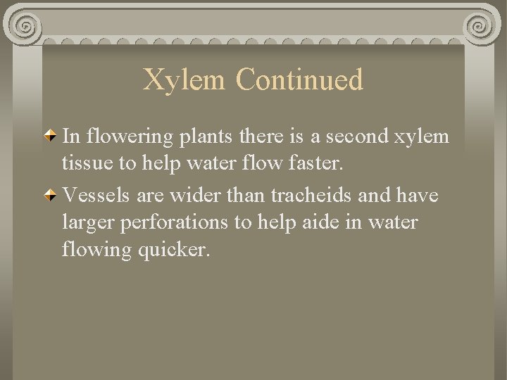 Xylem Continued In flowering plants there is a second xylem tissue to help water