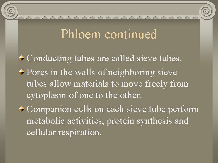 Phloem continued Conducting tubes are called sieve tubes. Pores in the walls of neighboring