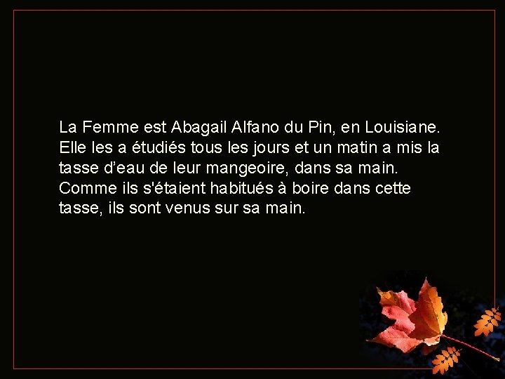 La Femme est Abagail Alfano du Pin, en Louisiane. Elle les a étudiés tous