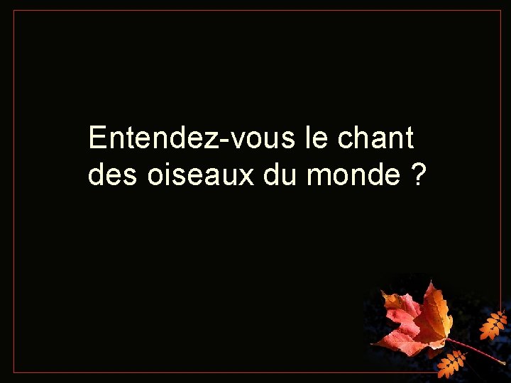 Entendez-vous le chant des oiseaux du monde ? 