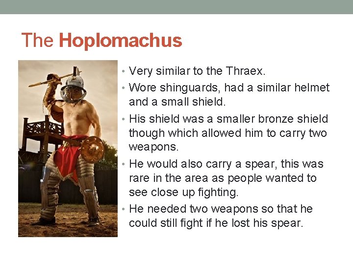 The Hoplomachus • Very similar to the Thraex. • Wore shinguards, had a similar