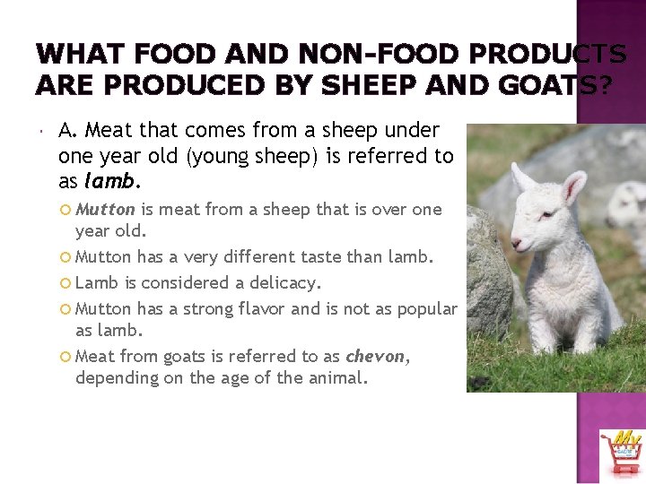WHAT FOOD AND NON-FOOD PRODUCTS ARE PRODUCED BY SHEEP AND GOATS? A. Meat that