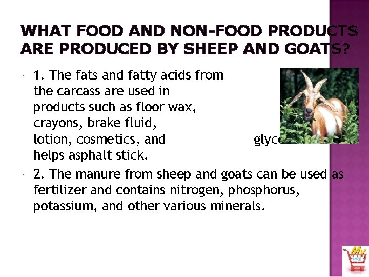 WHAT FOOD AND NON-FOOD PRODUCTS ARE PRODUCED BY SHEEP AND GOATS? 1. The fats