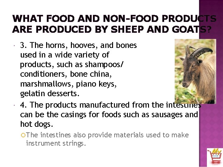 WHAT FOOD AND NON-FOOD PRODUCTS ARE PRODUCED BY SHEEP AND GOATS? 3. The horns,