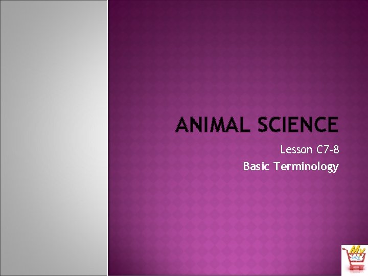 ANIMAL SCIENCE Lesson C 7 -8 Basic Terminology 