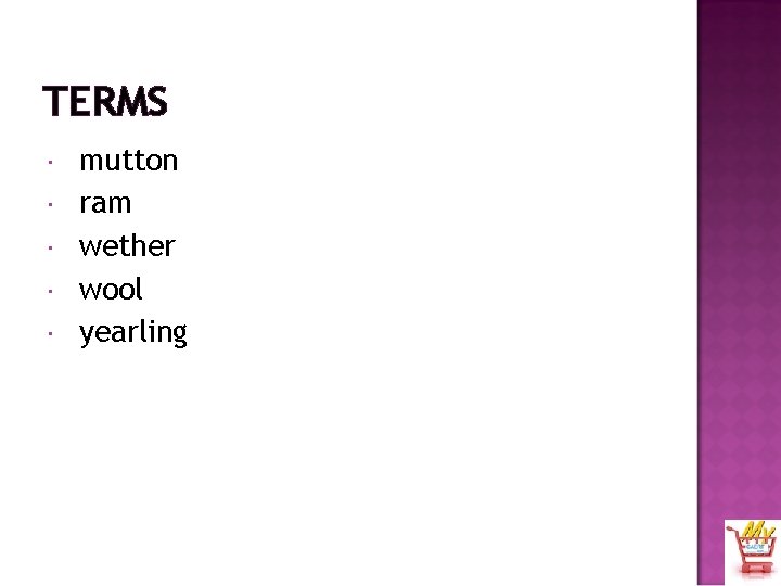 TERMS mutton ram wether wool yearling 