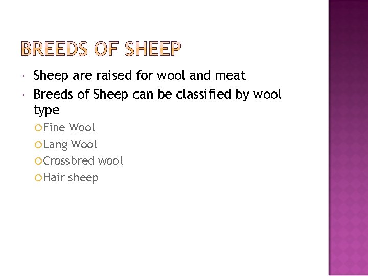  Sheep are raised for wool and meat Breeds of Sheep can be classified