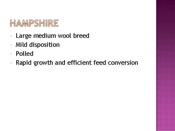  Large medium wool breed Mild disposition Polled Rapid growth and efficient feed conversion