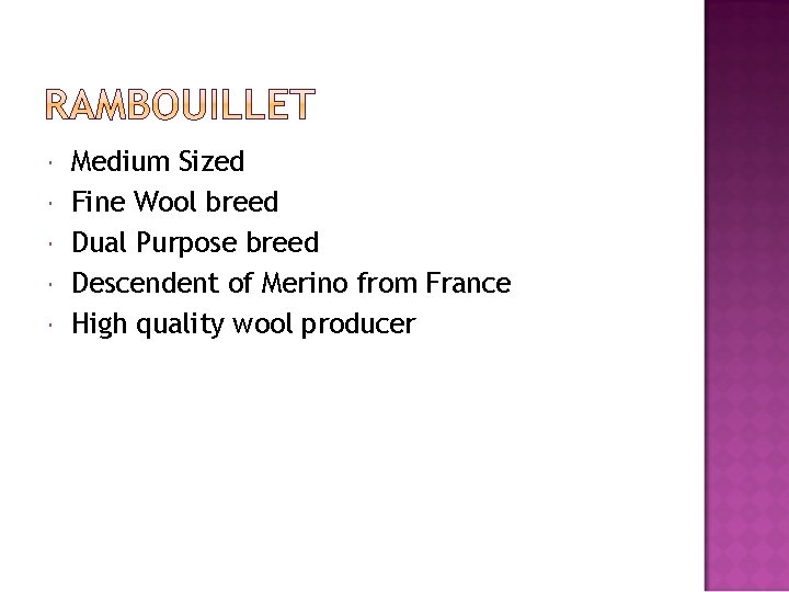  Medium Sized Fine Wool breed Dual Purpose breed Descendent of Merino from France