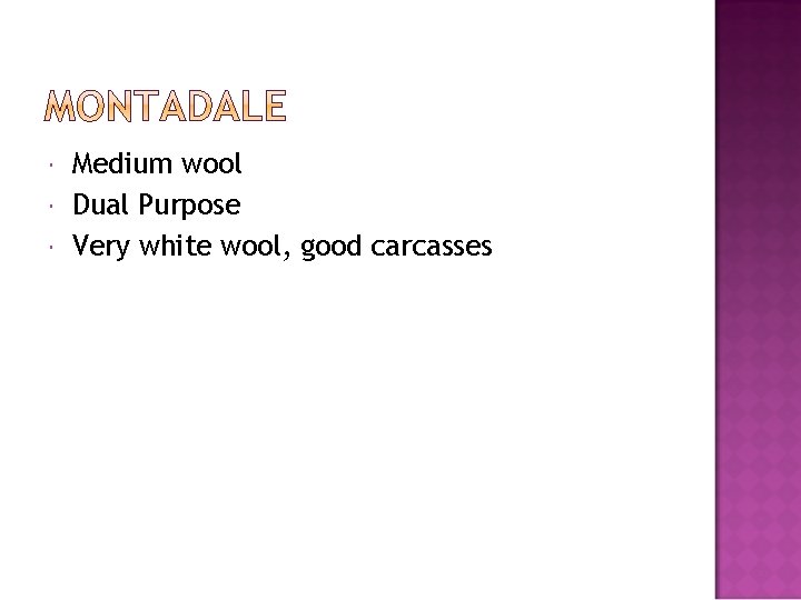  Medium wool Dual Purpose Very white wool, good carcasses 