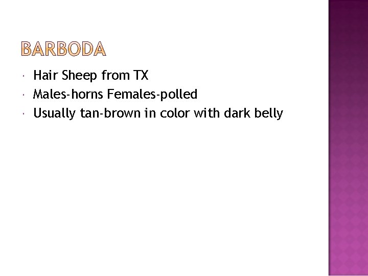  Hair Sheep from TX Males-horns Females-polled Usually tan-brown in color with dark belly