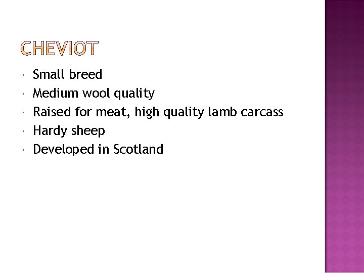  Small breed Medium wool quality Raised for meat, high quality lamb carcass Hardy