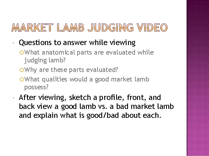  Questions to answer while viewing What anatomical parts are evaluated while judging lamb?