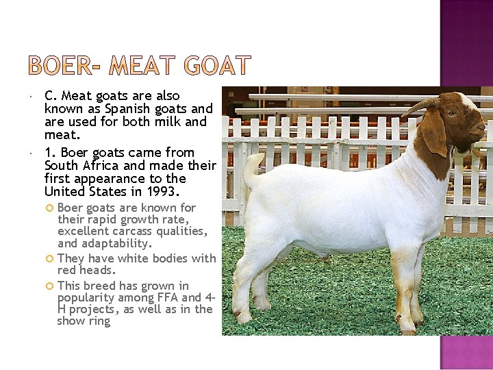  C. Meat goats are also known as Spanish goats and are used for