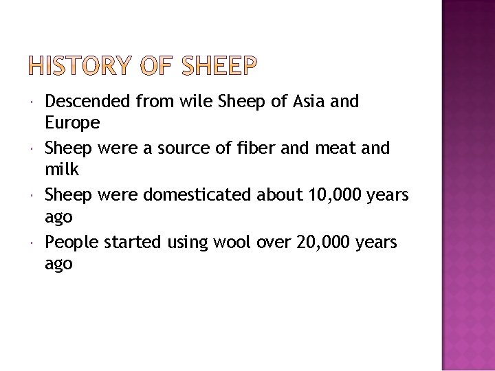 Descended from wile Sheep of Asia and Europe Sheep were a source of