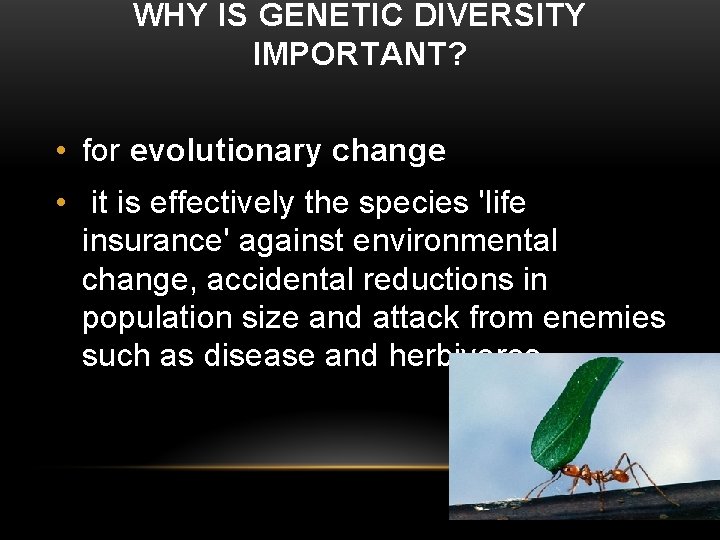 WHY IS GENETIC DIVERSITY IMPORTANT? • for evolutionary change • it is effectively the