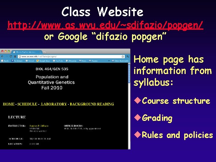 Class Website http: //www. as. wvu. edu/~sdifazio/popgen/ or Google “difazio popgen” Home page has Class Website http: //www. as. wvu. edu/~sdifazio/popgen/ or Google “difazio popgen” Home page has