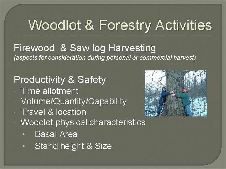 Woodlot & Forestry Activities Firewood & Saw log Harvesting (aspects for consideration during personal
