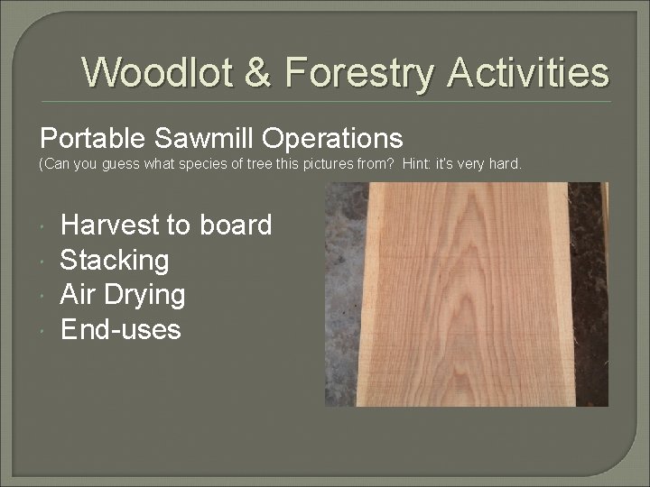 Woodlot & Forestry Activities Portable Sawmill Operations (Can you guess what species of tree