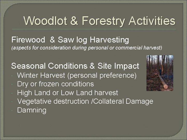 Woodlot & Forestry Activities Firewood & Saw log Harvesting (aspects for consideration during personal