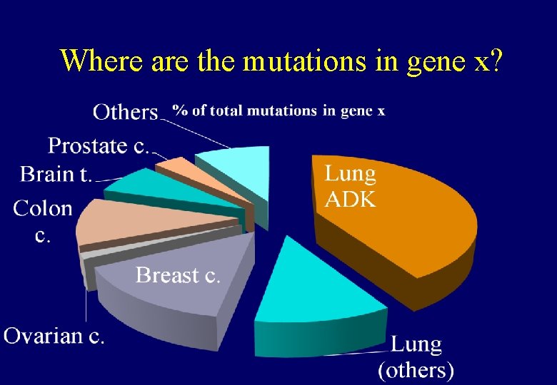 Where are the mutations in gene x? 